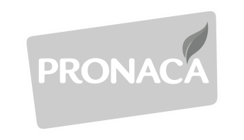 Pronaca