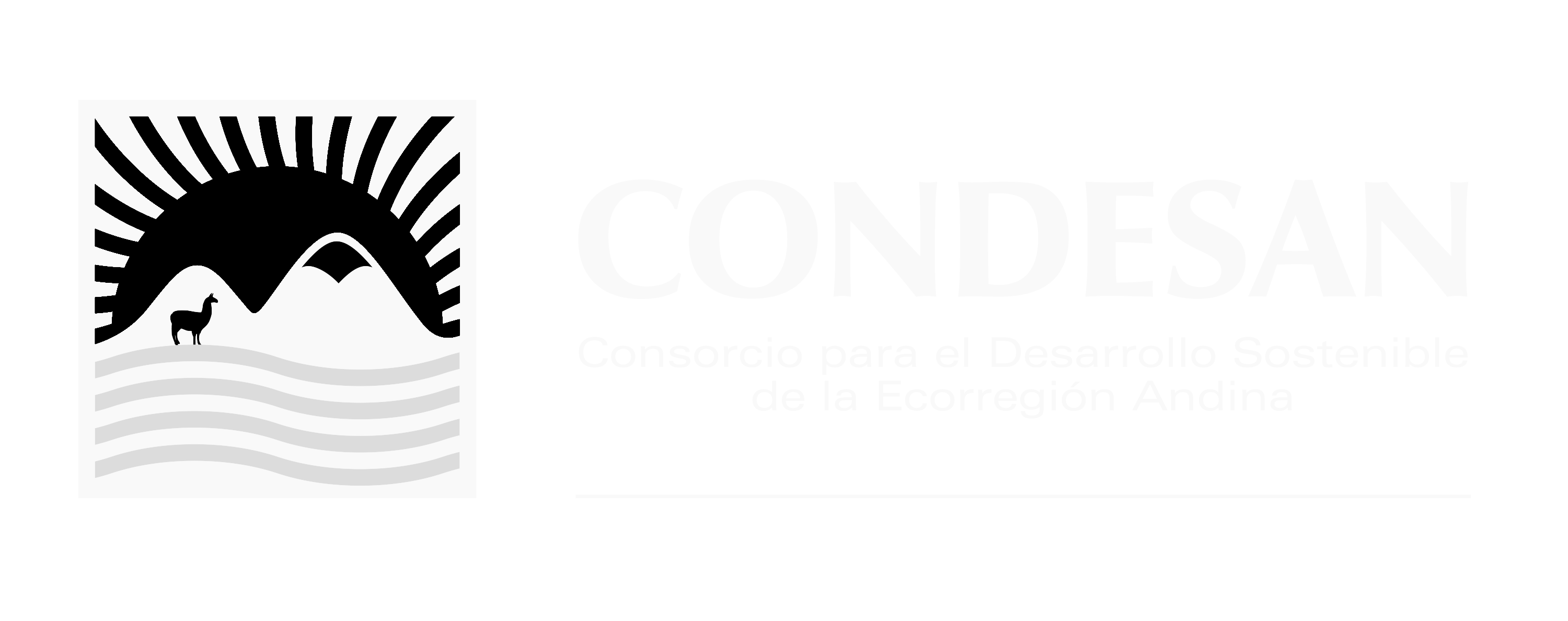 png-blanco-y-negro-LOGO-CONDESAN